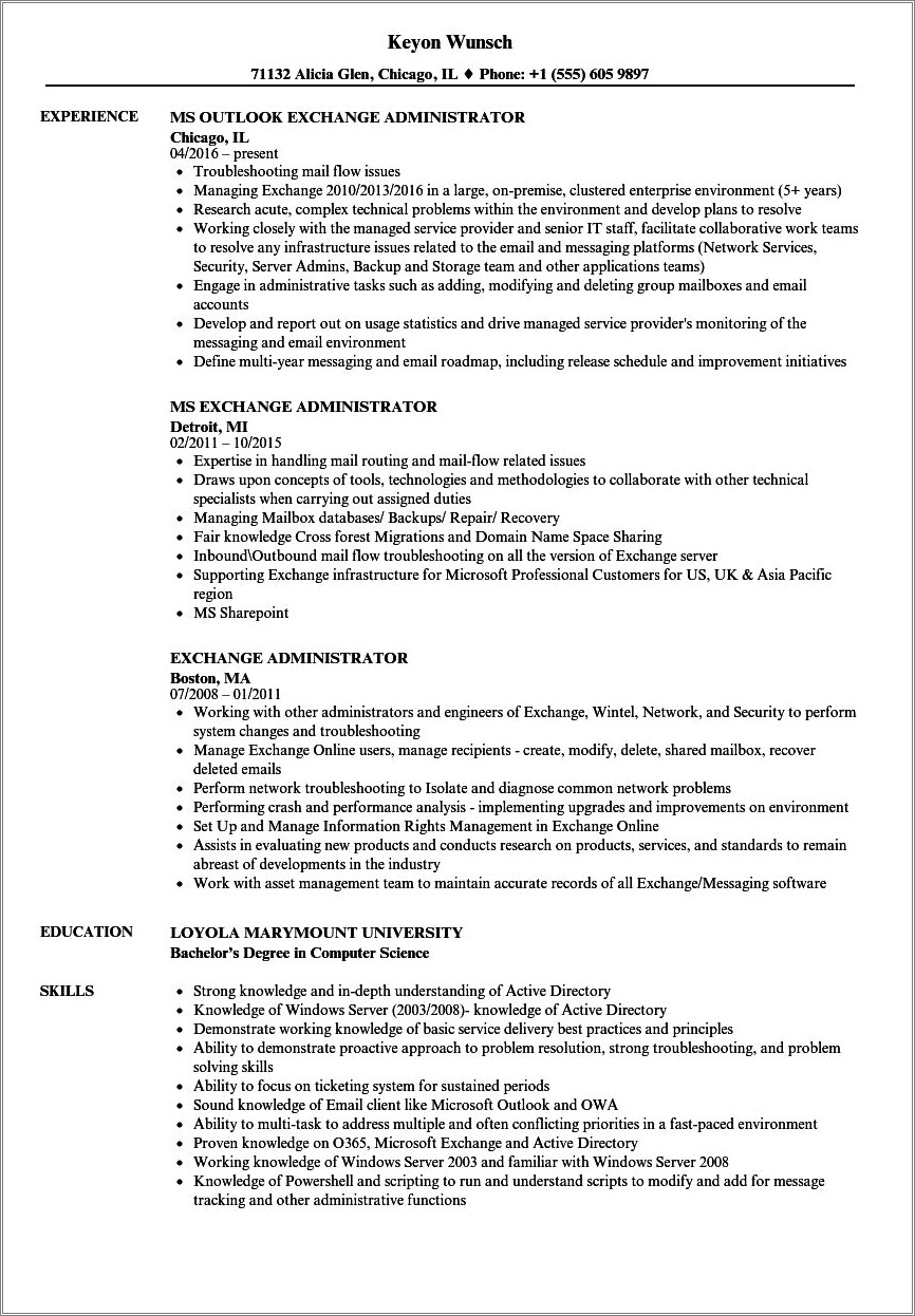 Powershell Theme Examples Cv Resume Career