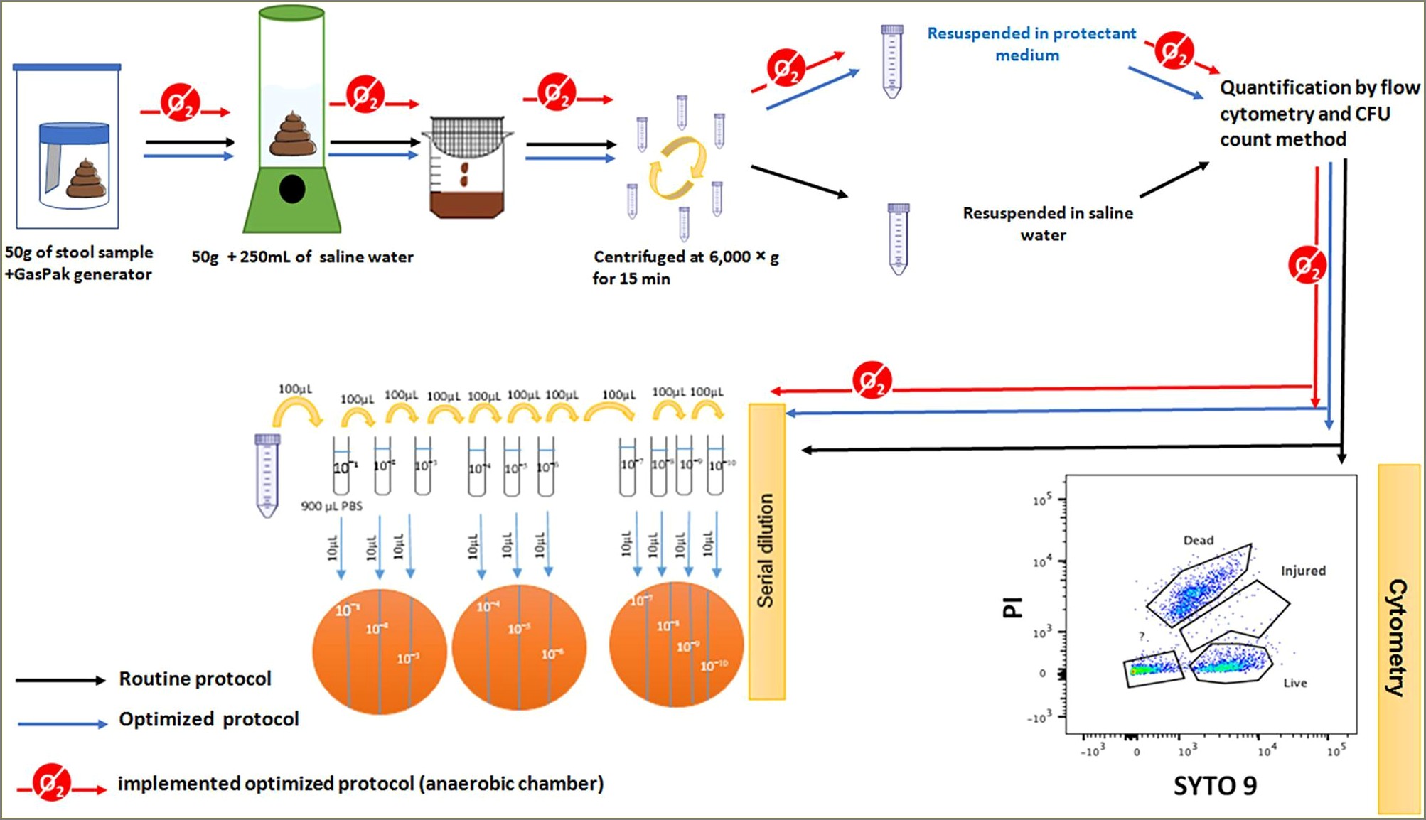 Processed Stool Samples In Lab Resume