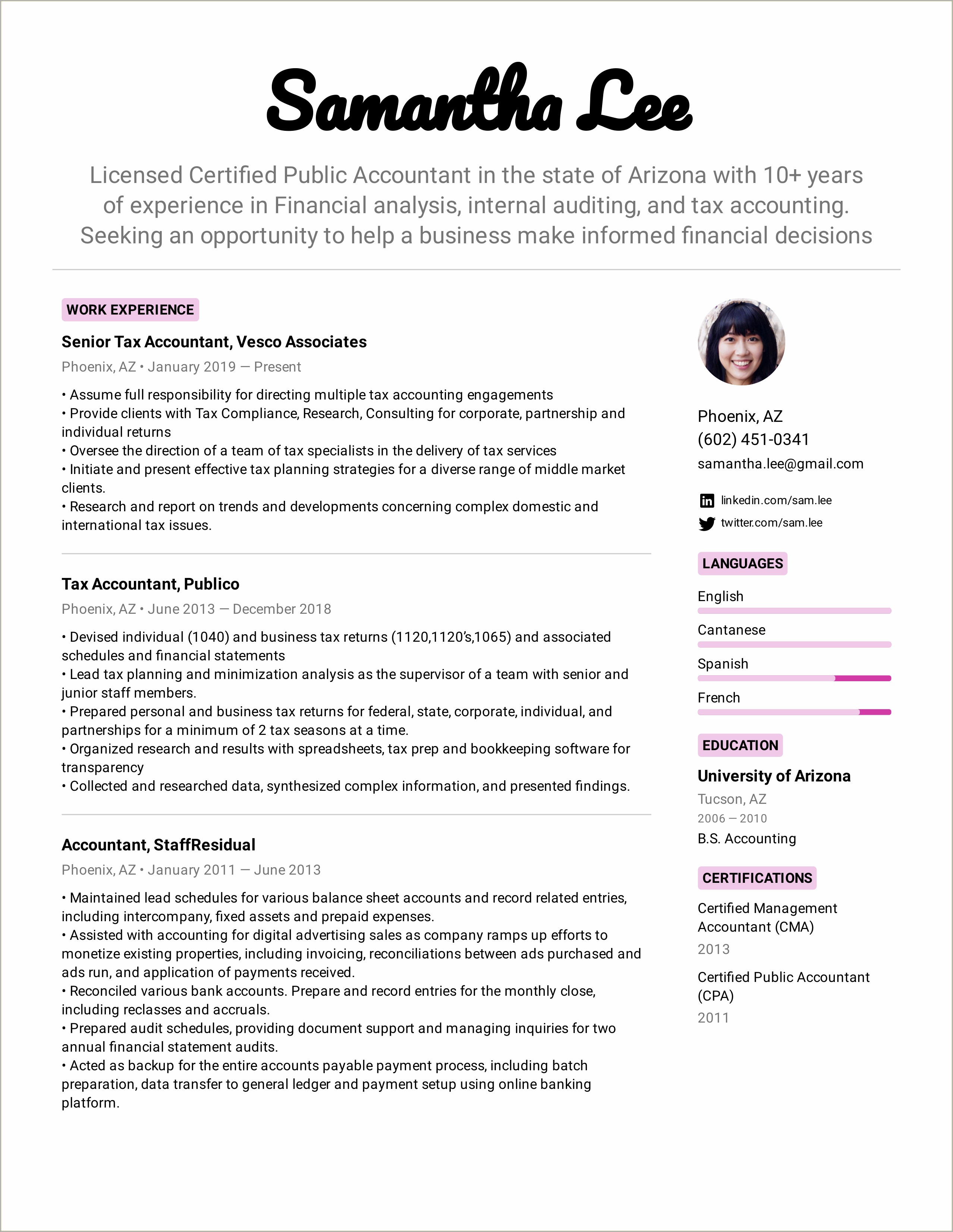 Professional Accountant Resume Format In Word