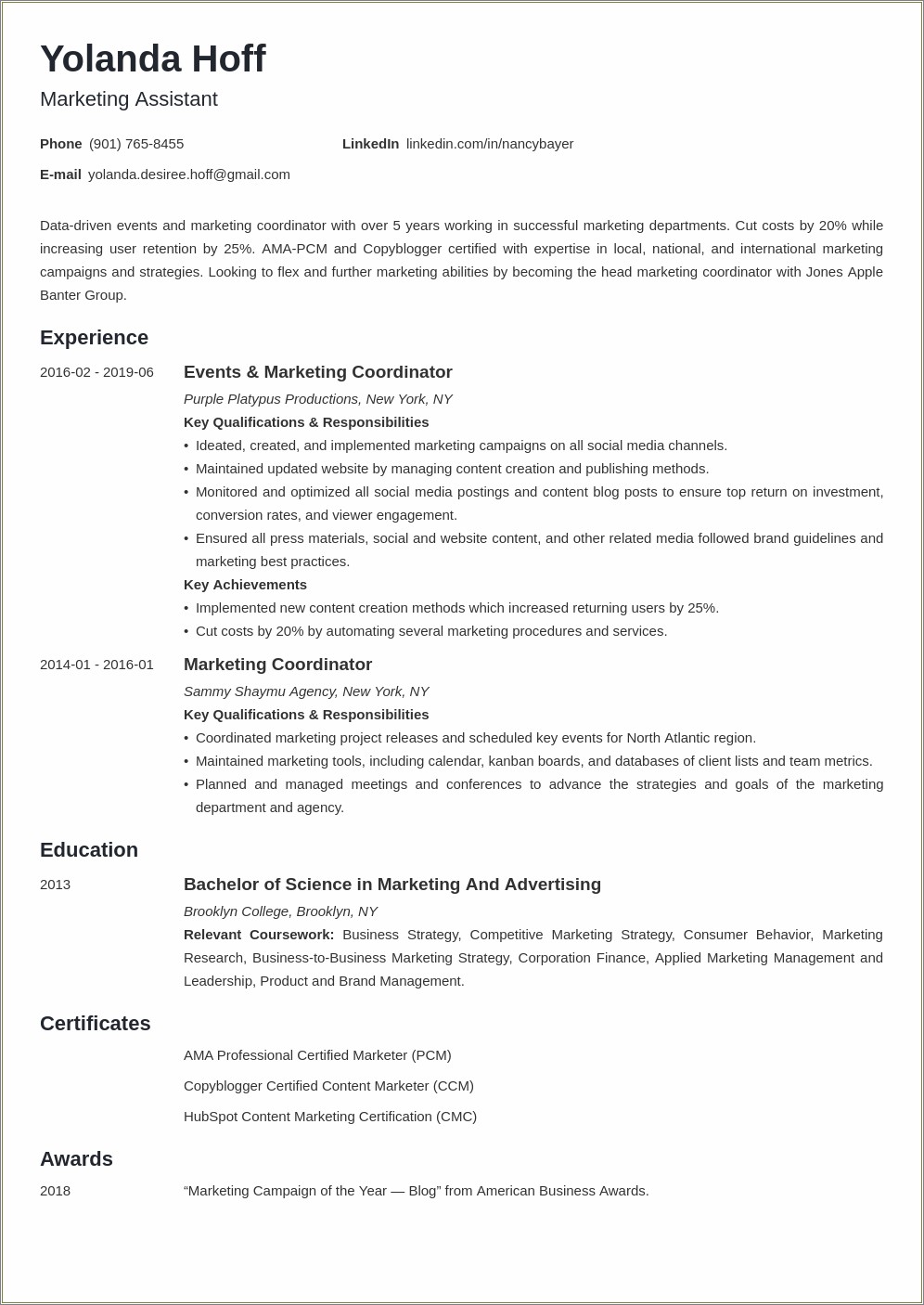 Professional Bio On Resumes Examples For Marketing