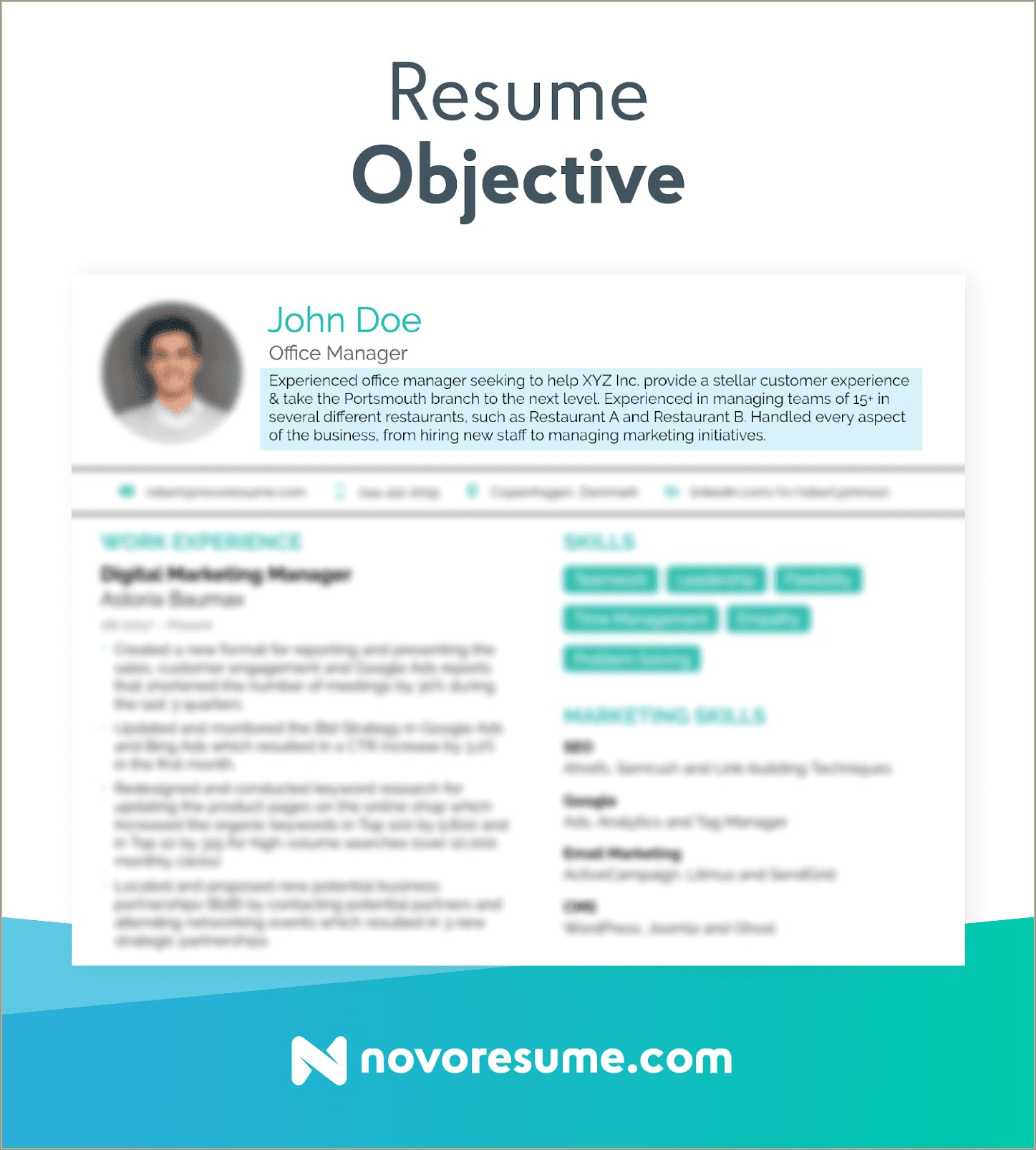 Professional Objective On A Resume Examples
