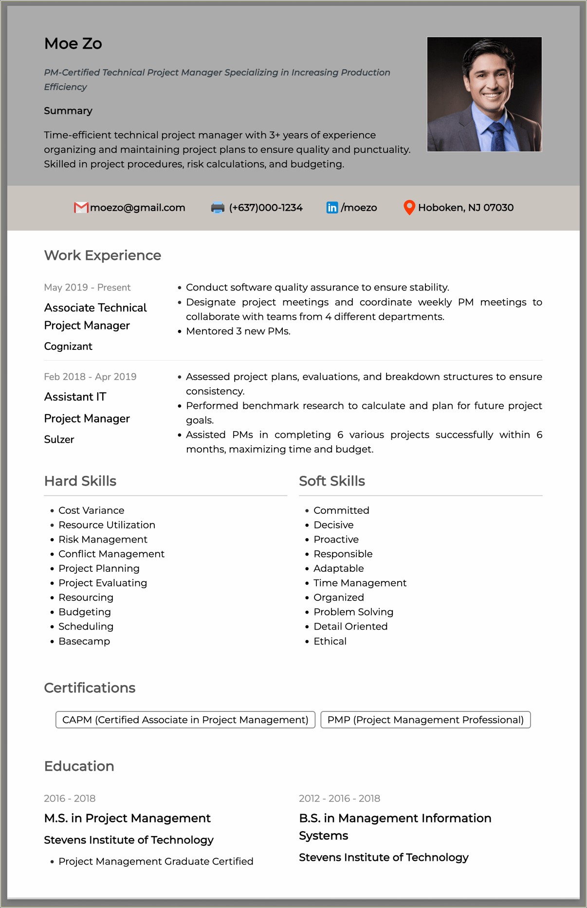 Professional Profile Resume Examples Program Manager
