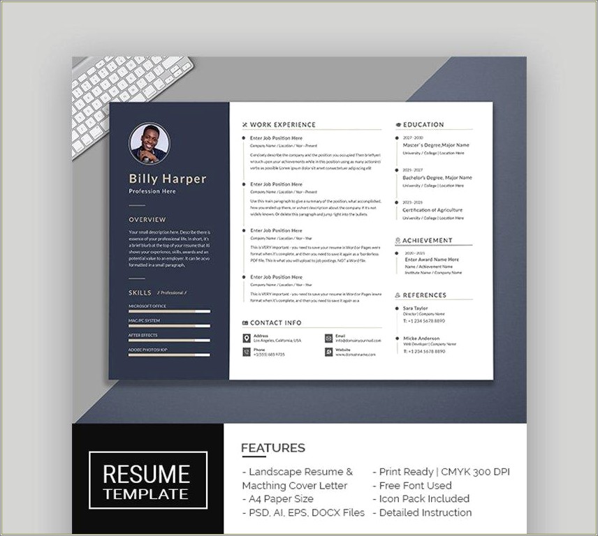 Professional Resume Format Download In Ms Word