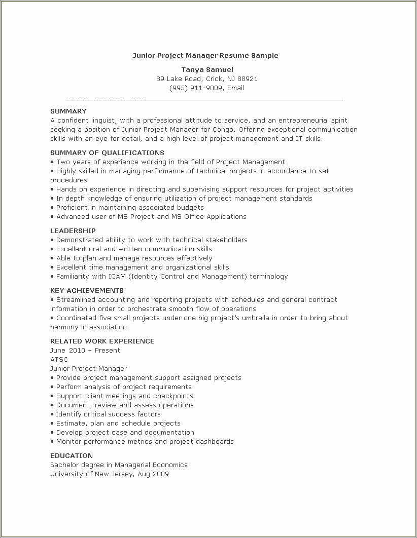 Professional Resume Format For Project Manager