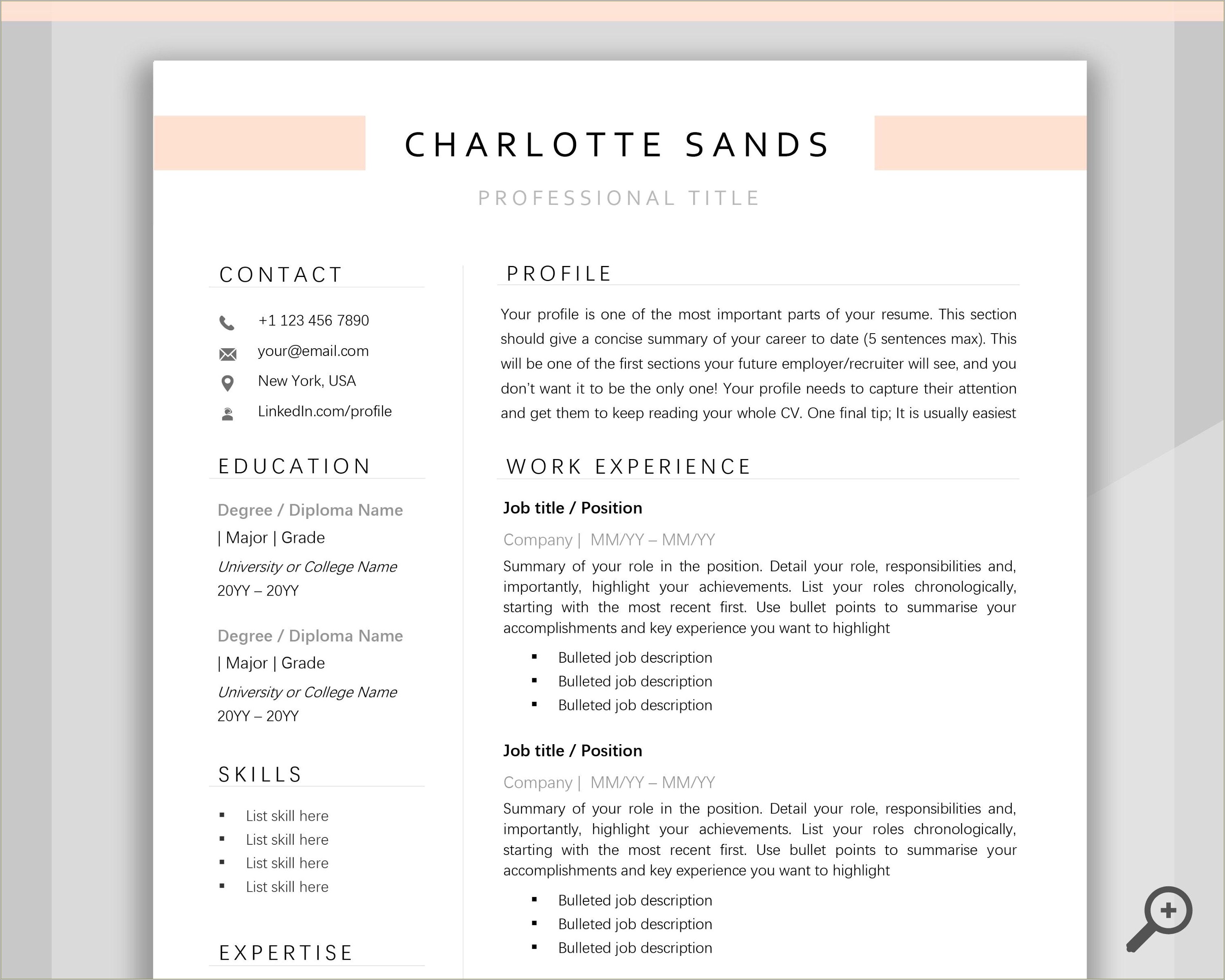 Professional Resume Format In Word File
