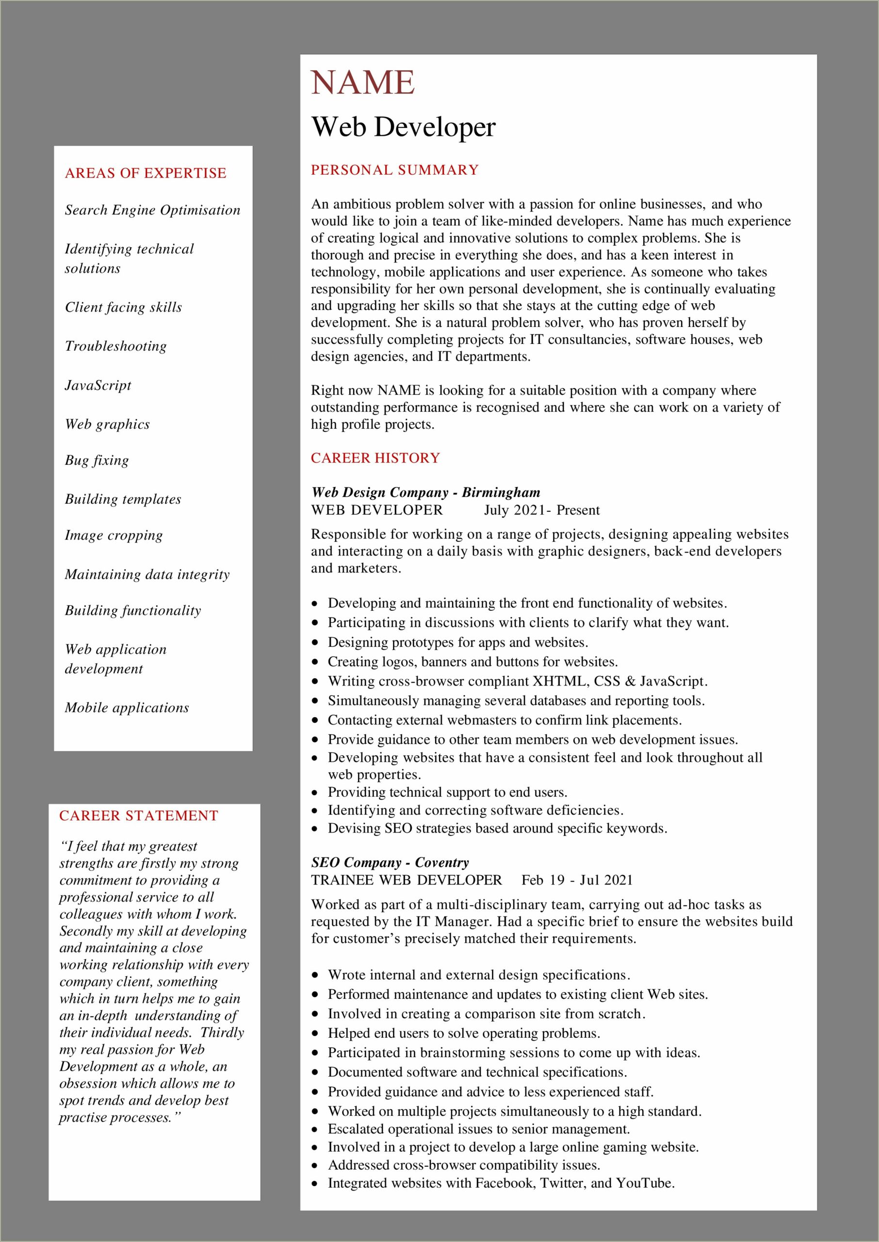 Professional Resume Samples For Web Developer