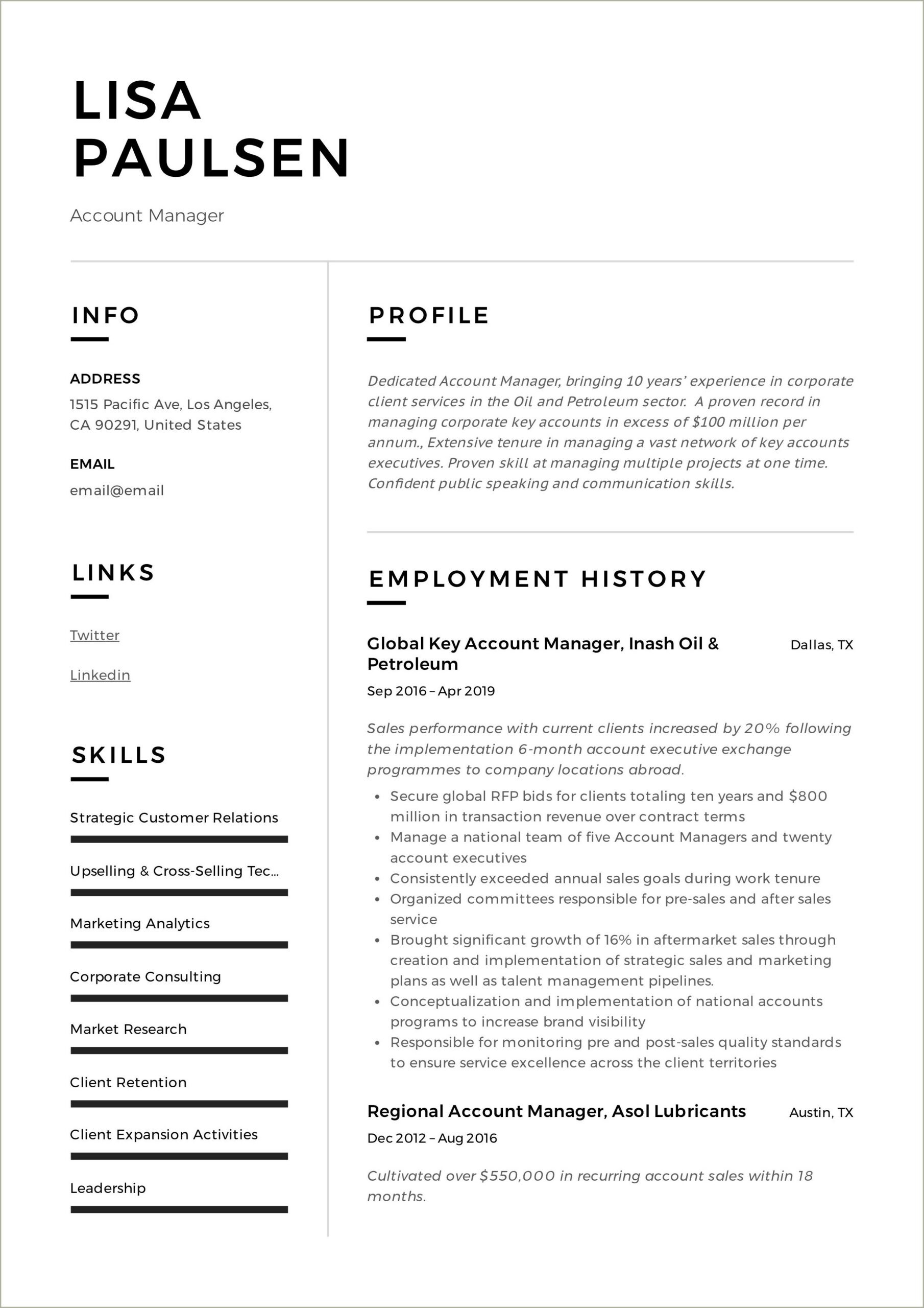 Professional Resume Summary Examples For Account Manager