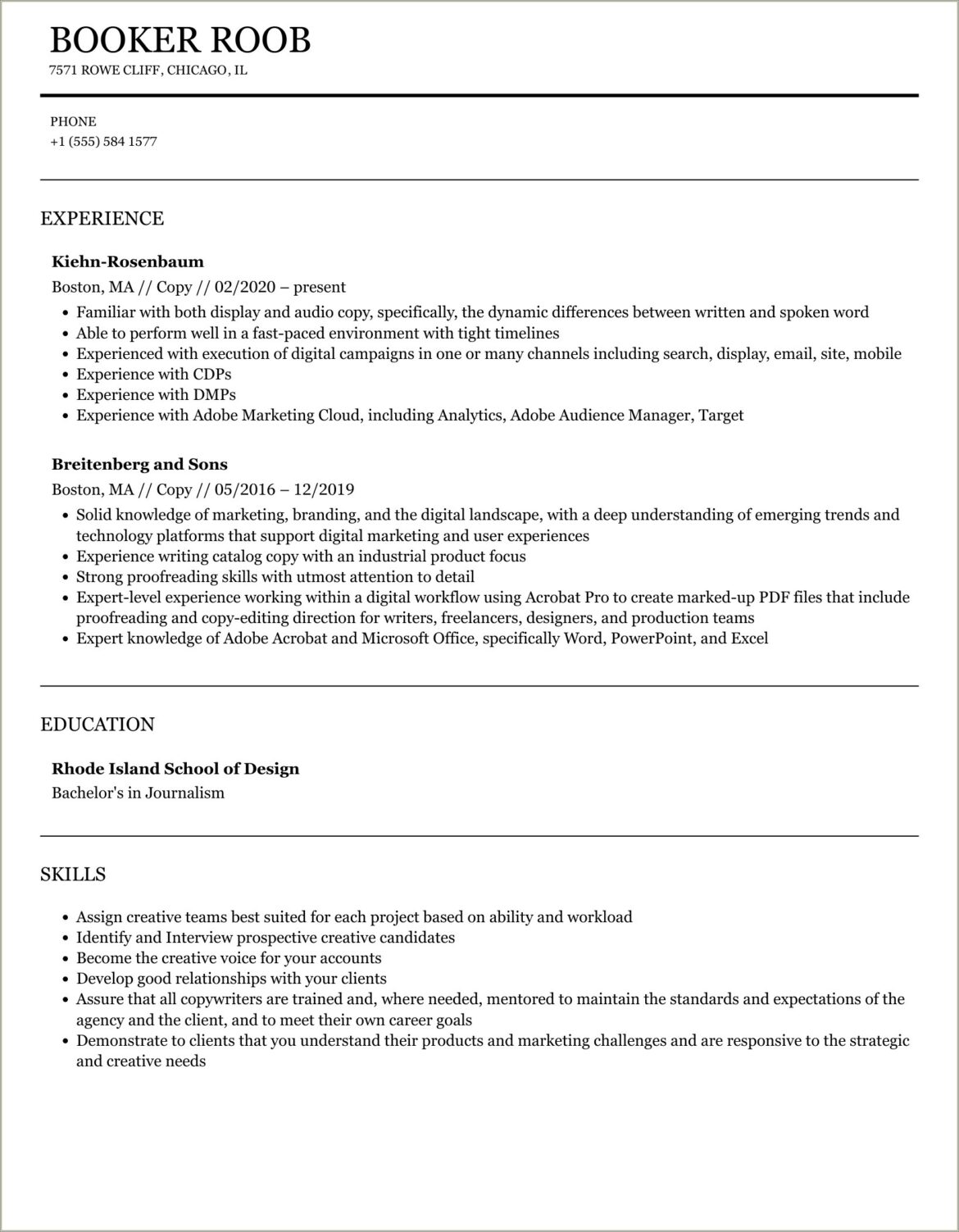 Professional Resume Template Copy And Paste