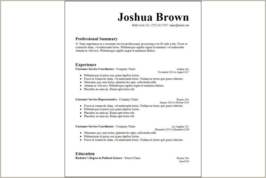 Professional Resume Template With Professional Summary