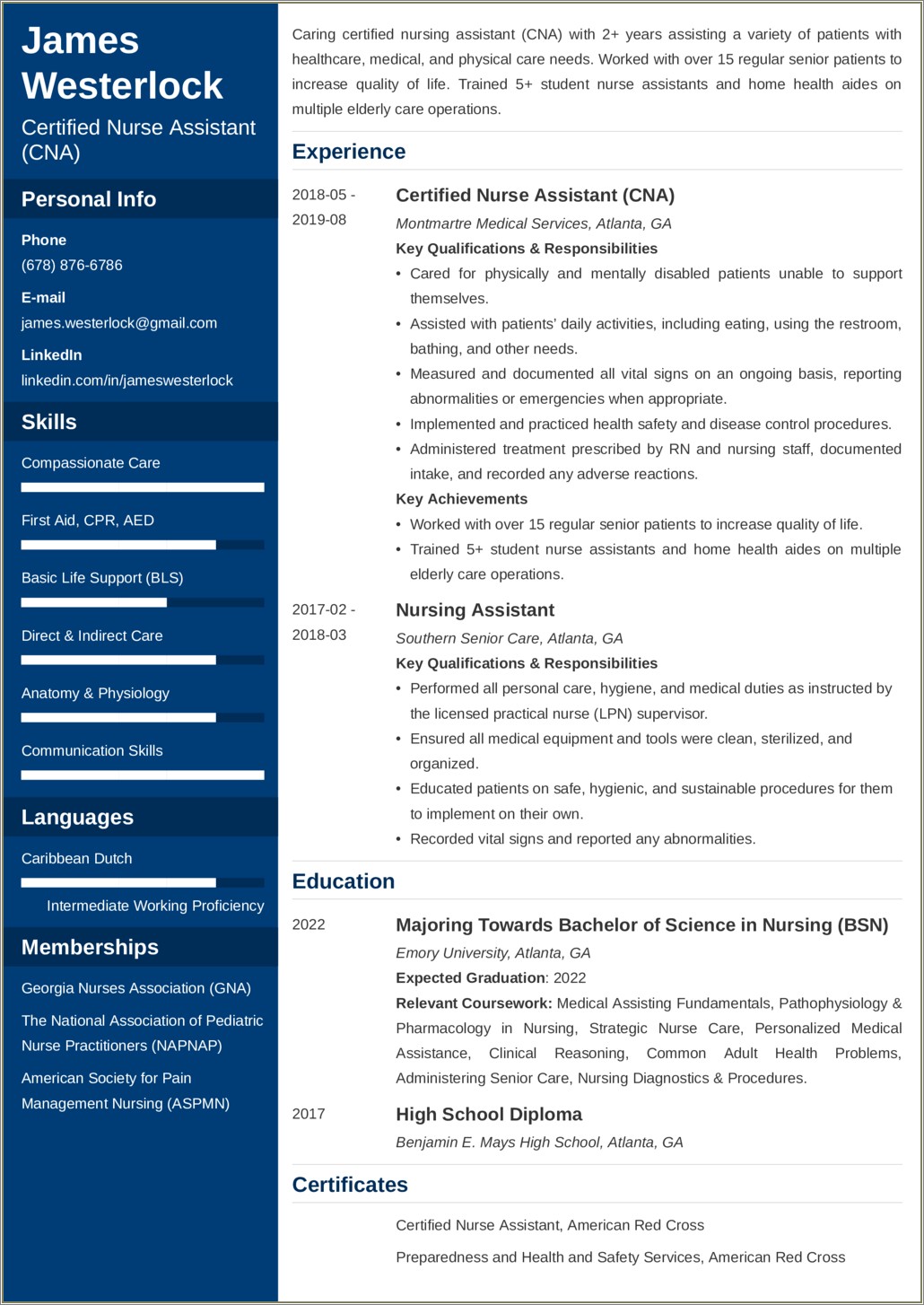 Professional Skills For Nursing Assistant Resume
