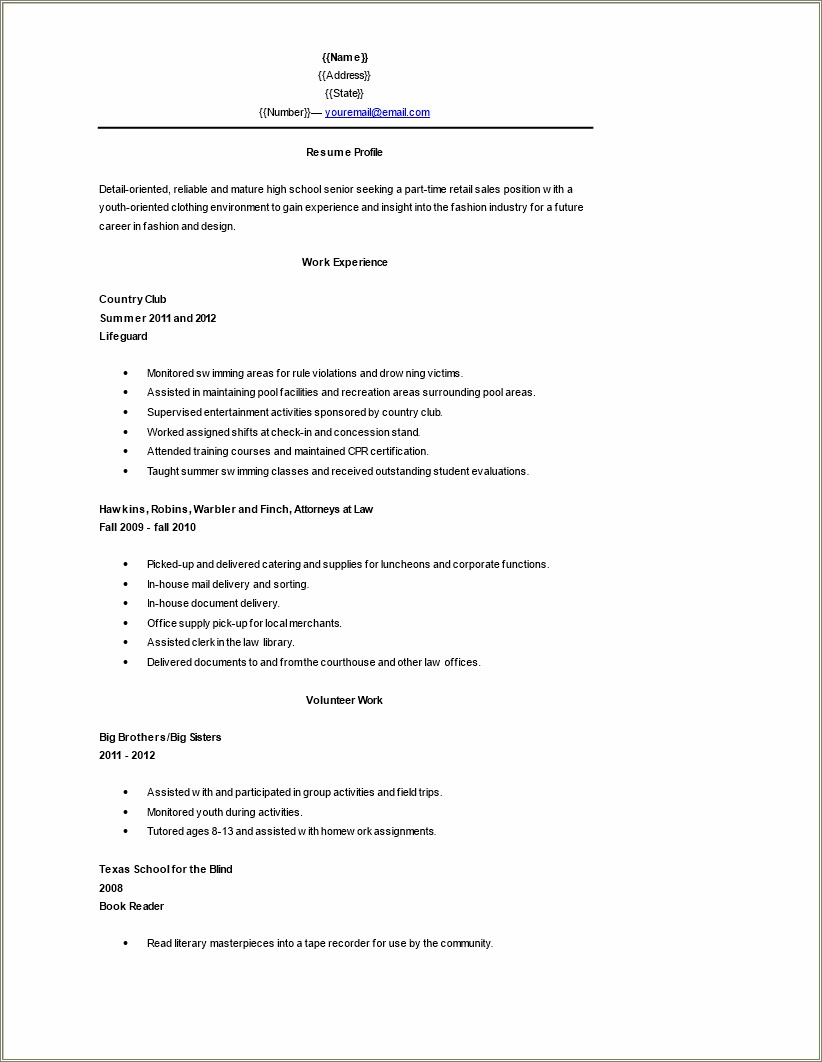 Professional Summary For A High School Student Resume