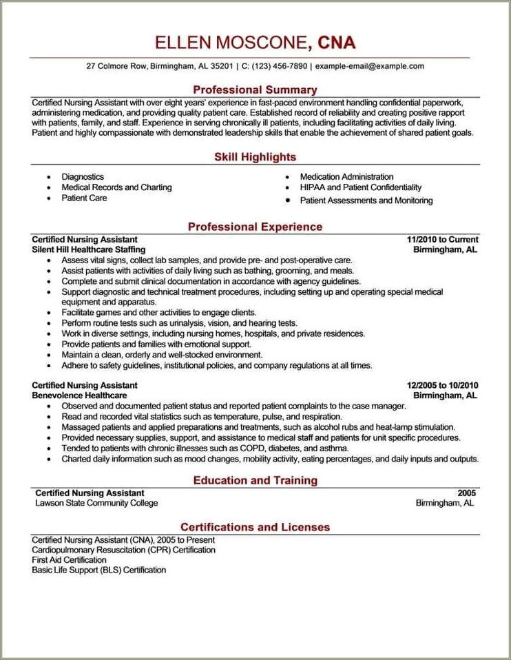 Professional Summary For A Resume Examples