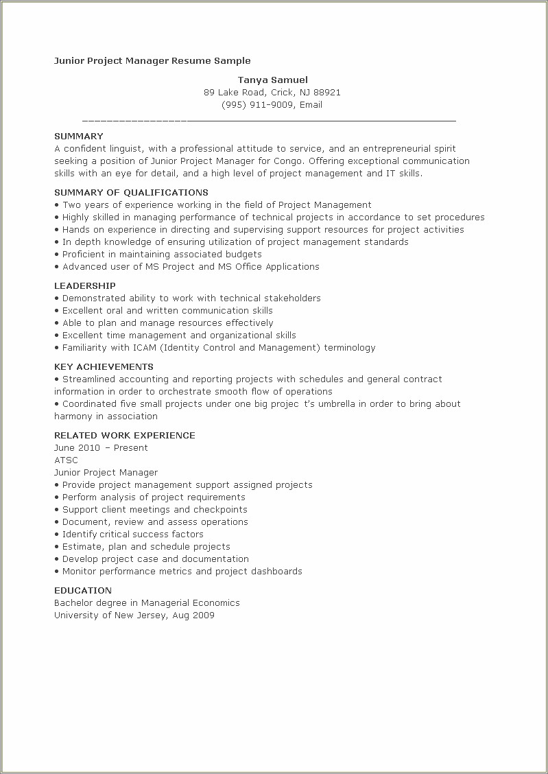 Professional Summary For Project Manager Resume