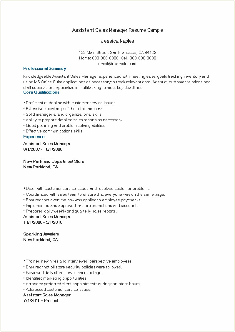 Professional Summary For Resume Sales Manager