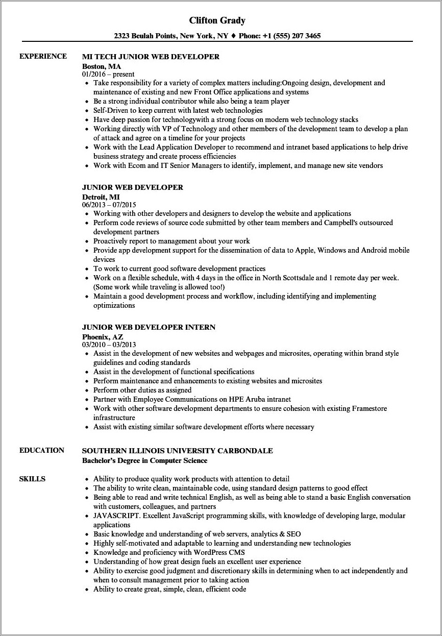 Professional Summary In Resume For Web Developer