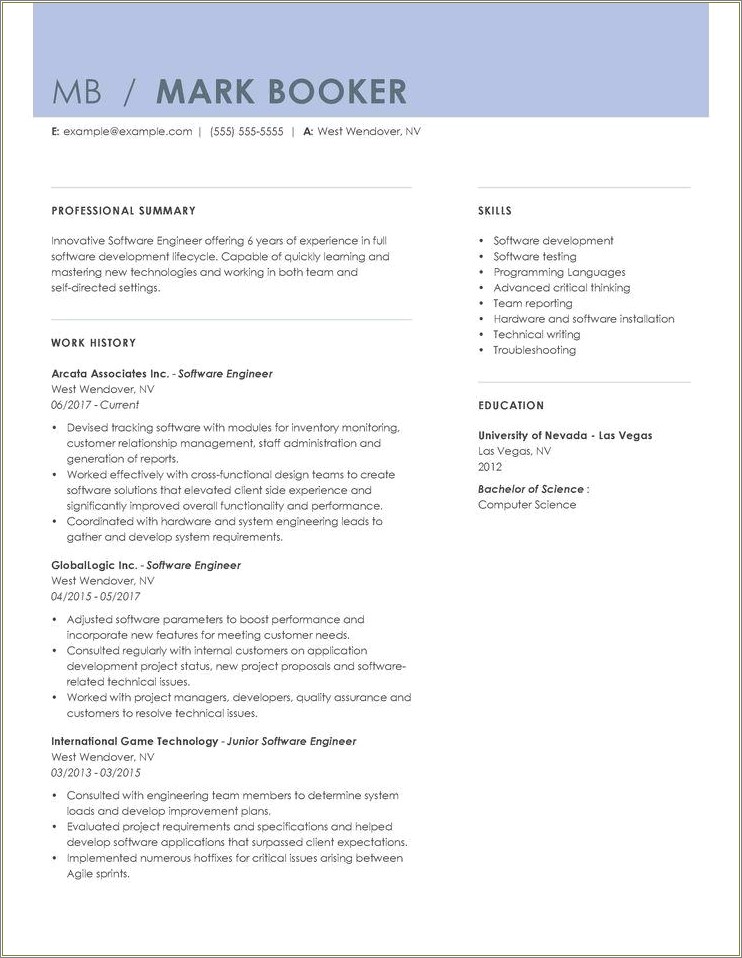 Professional Summary On A Resume Example