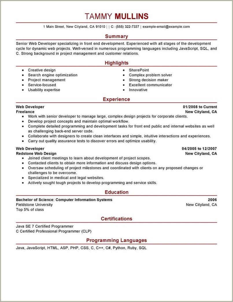 Professional Summary On Resume Examples Web Developer