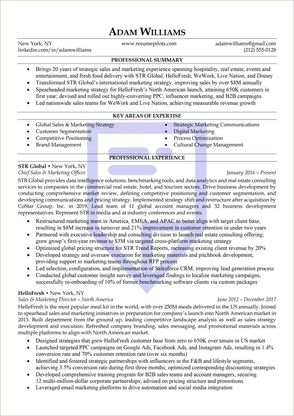 Professional Summary Resume Sample For It