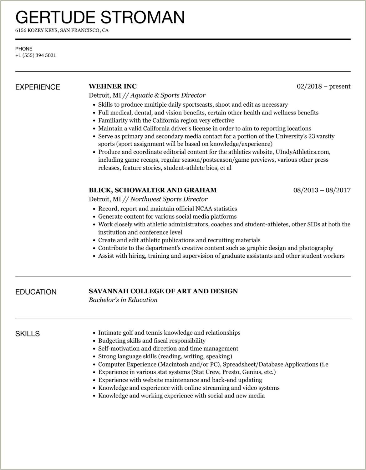 Professional Summary Resume Sports Director Sample