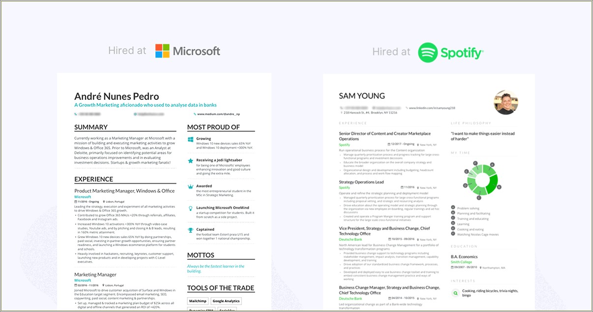 Profile Resume Examples For Creative Marketing Students