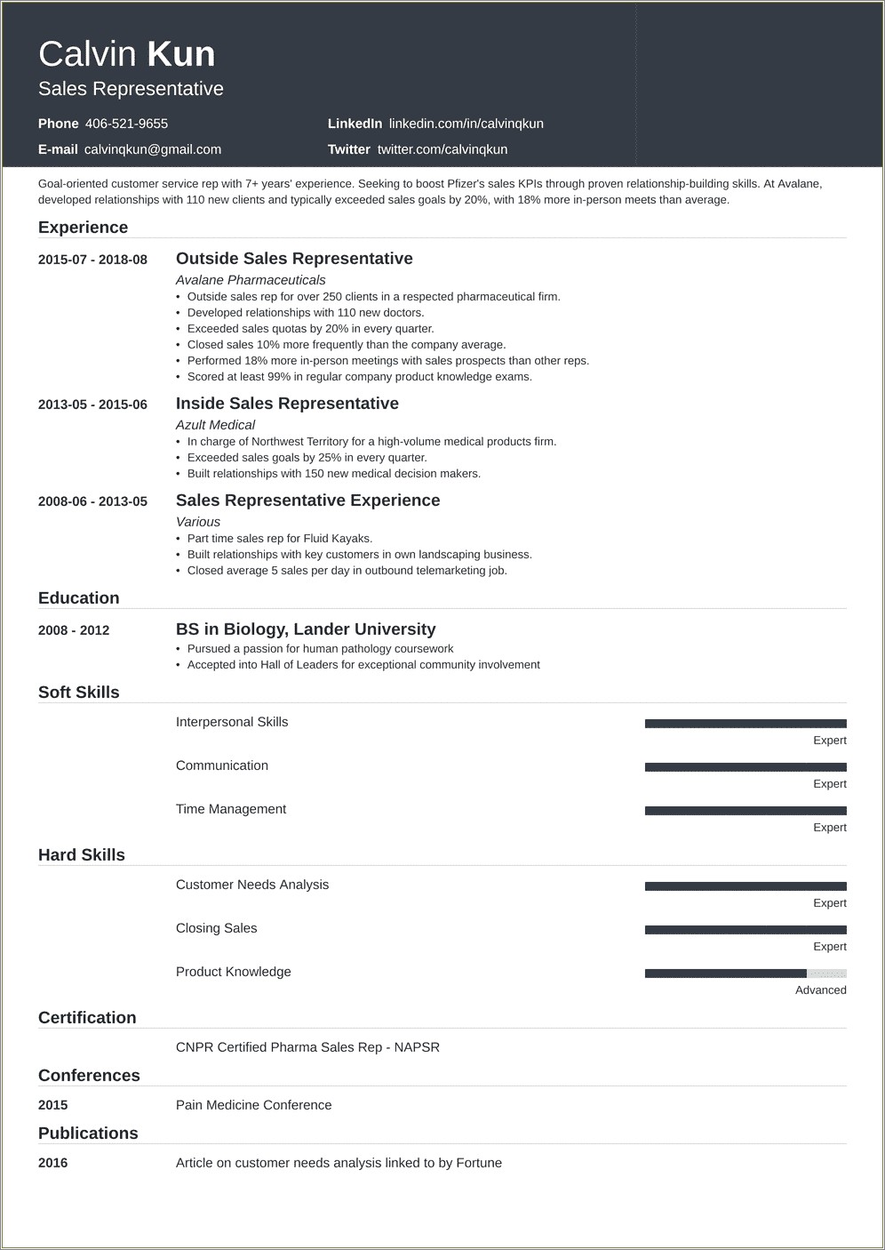 Profile Summary Examples For Sales Resume