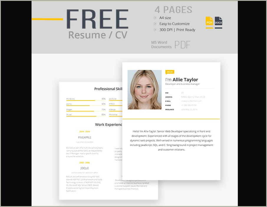 Programmer Resume Template Word Free Download