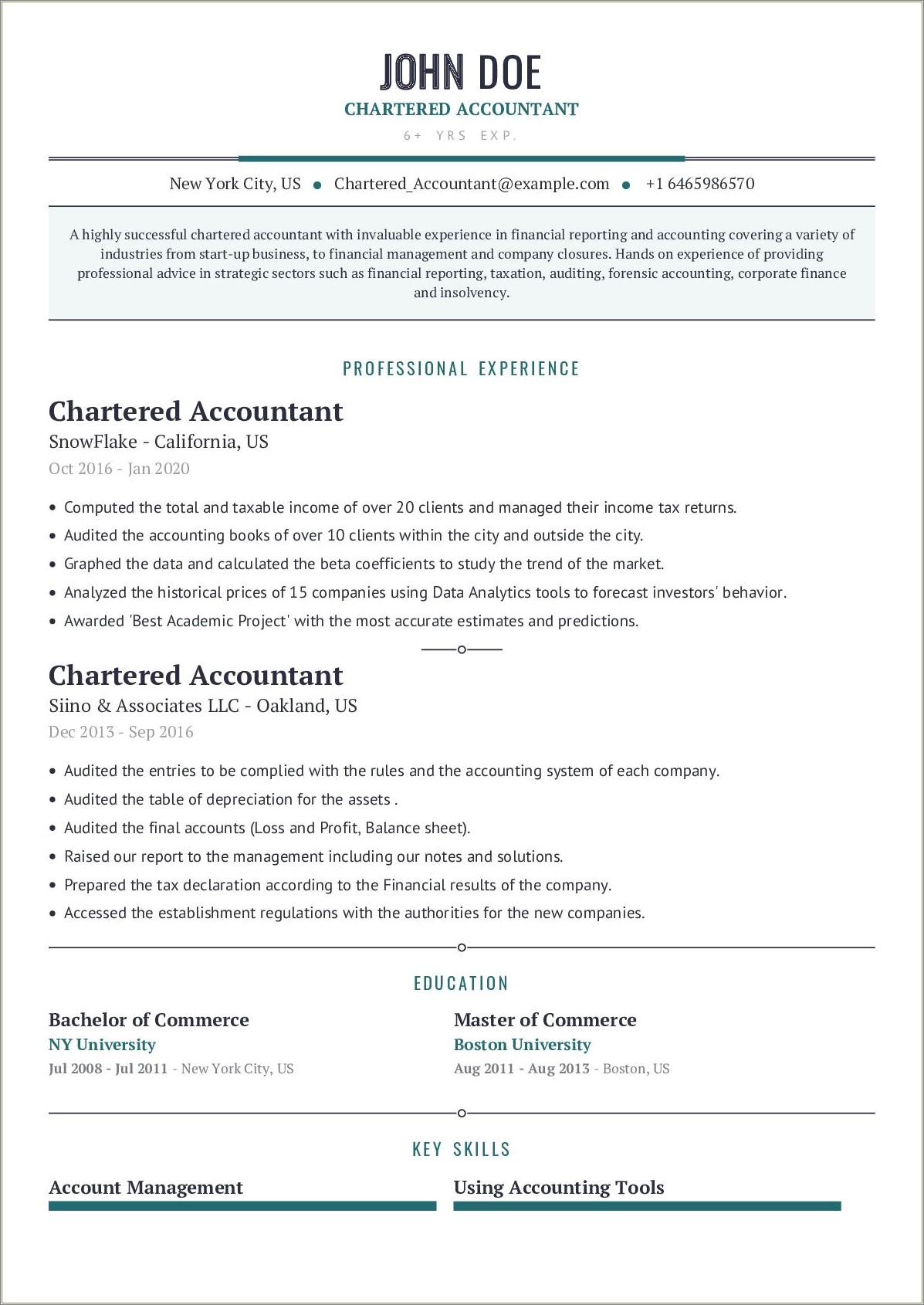 Project Based Resume Example For Accountant