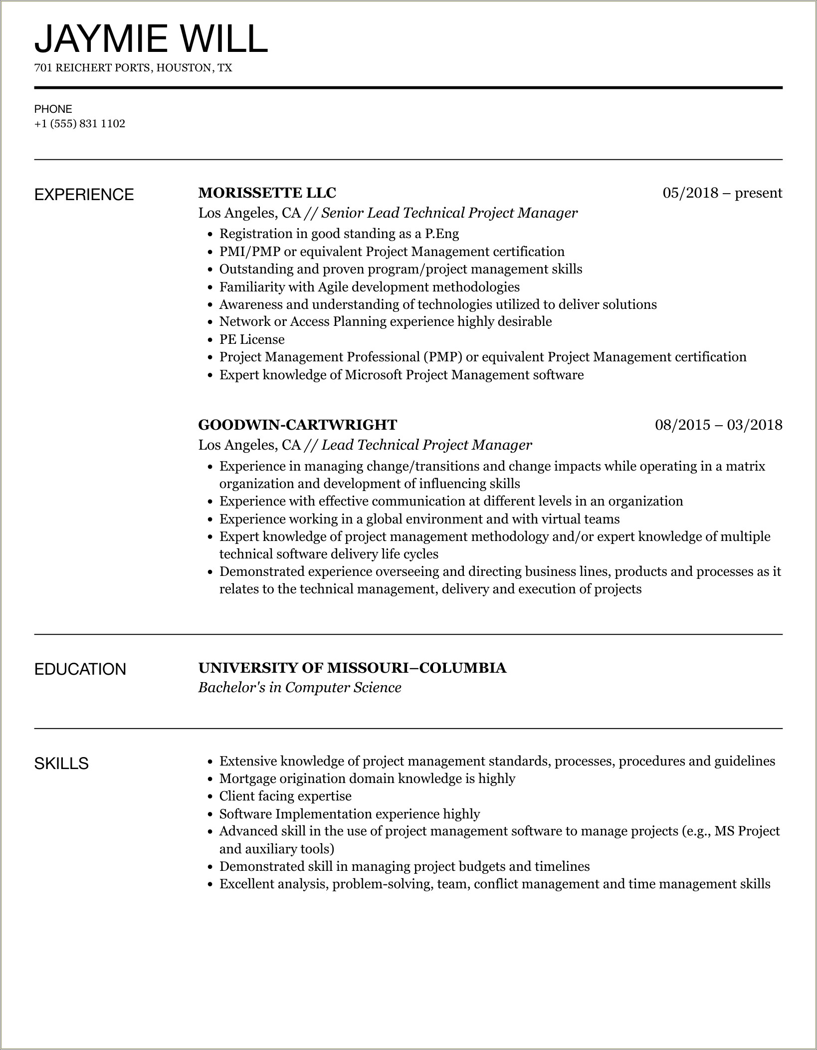 Project Management Skills In Resume Examples