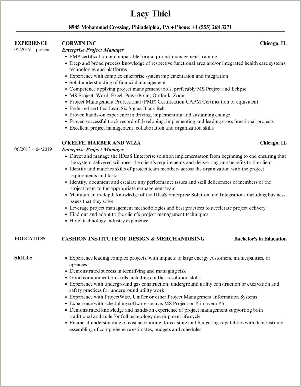 Project Manager Enterprise Pdf Example Resume