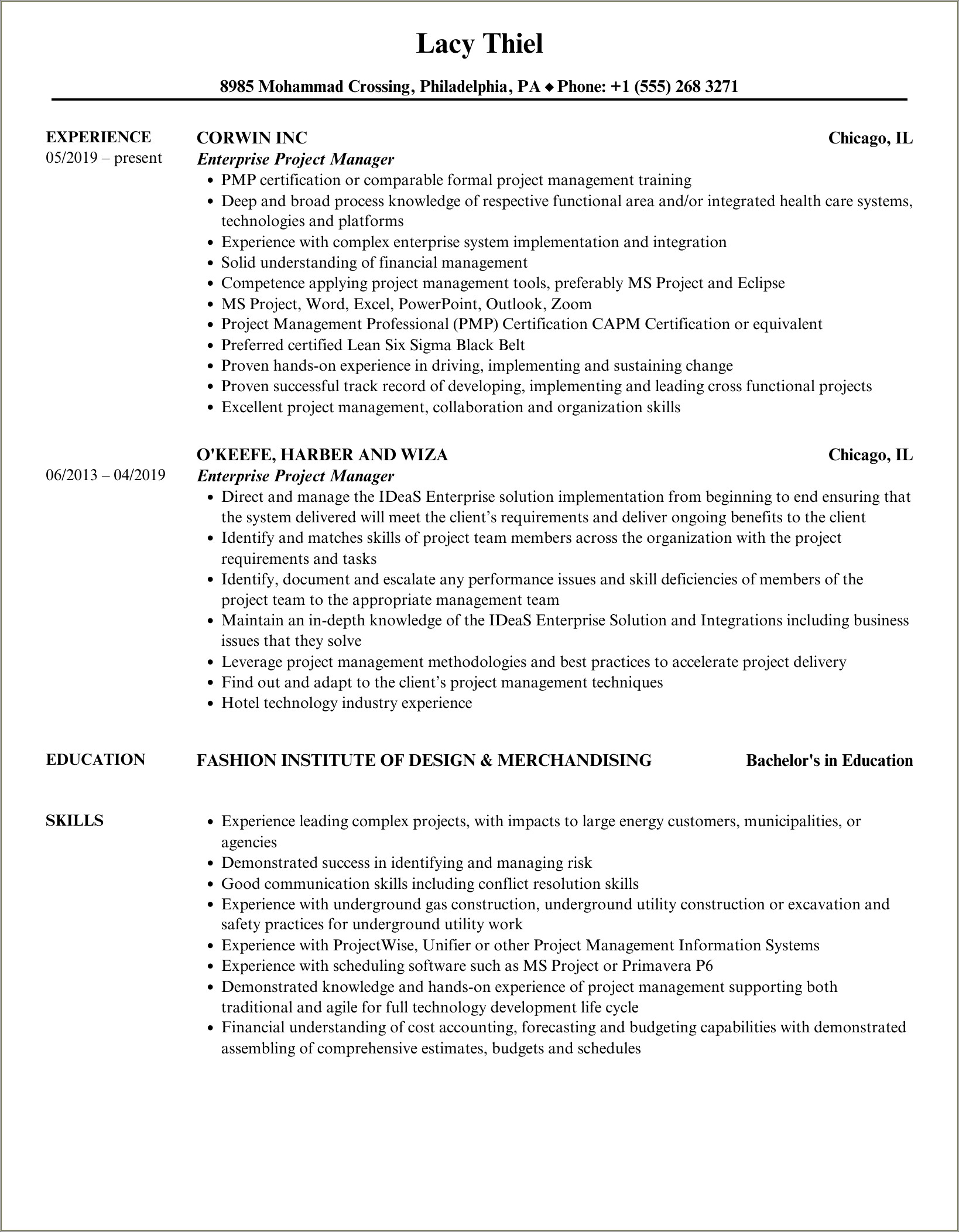 Project Manager Enterprise Pdf Example Resume