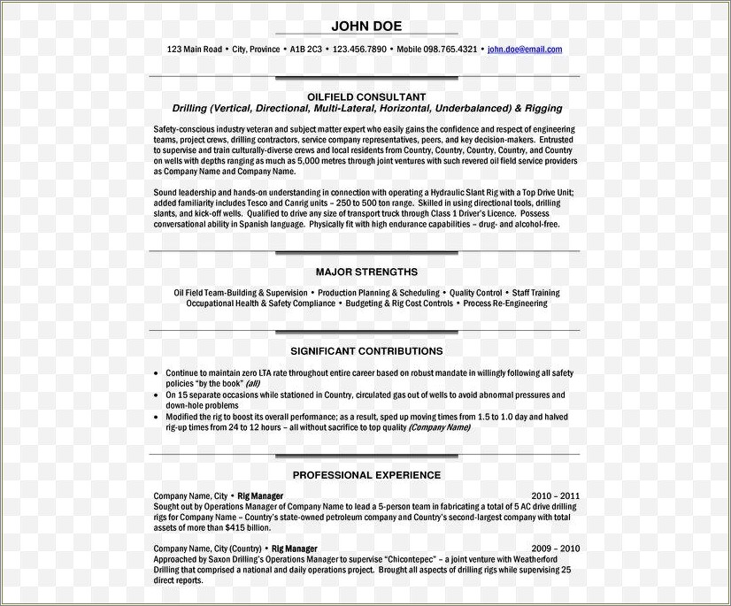 Project Manager Job Descriptions For Resume