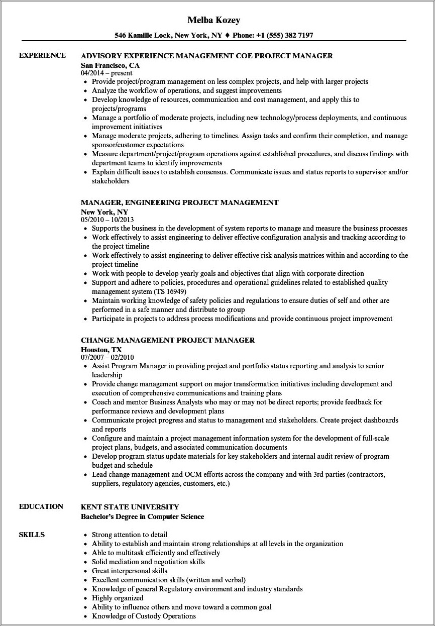 Project Manager Resume For New Project