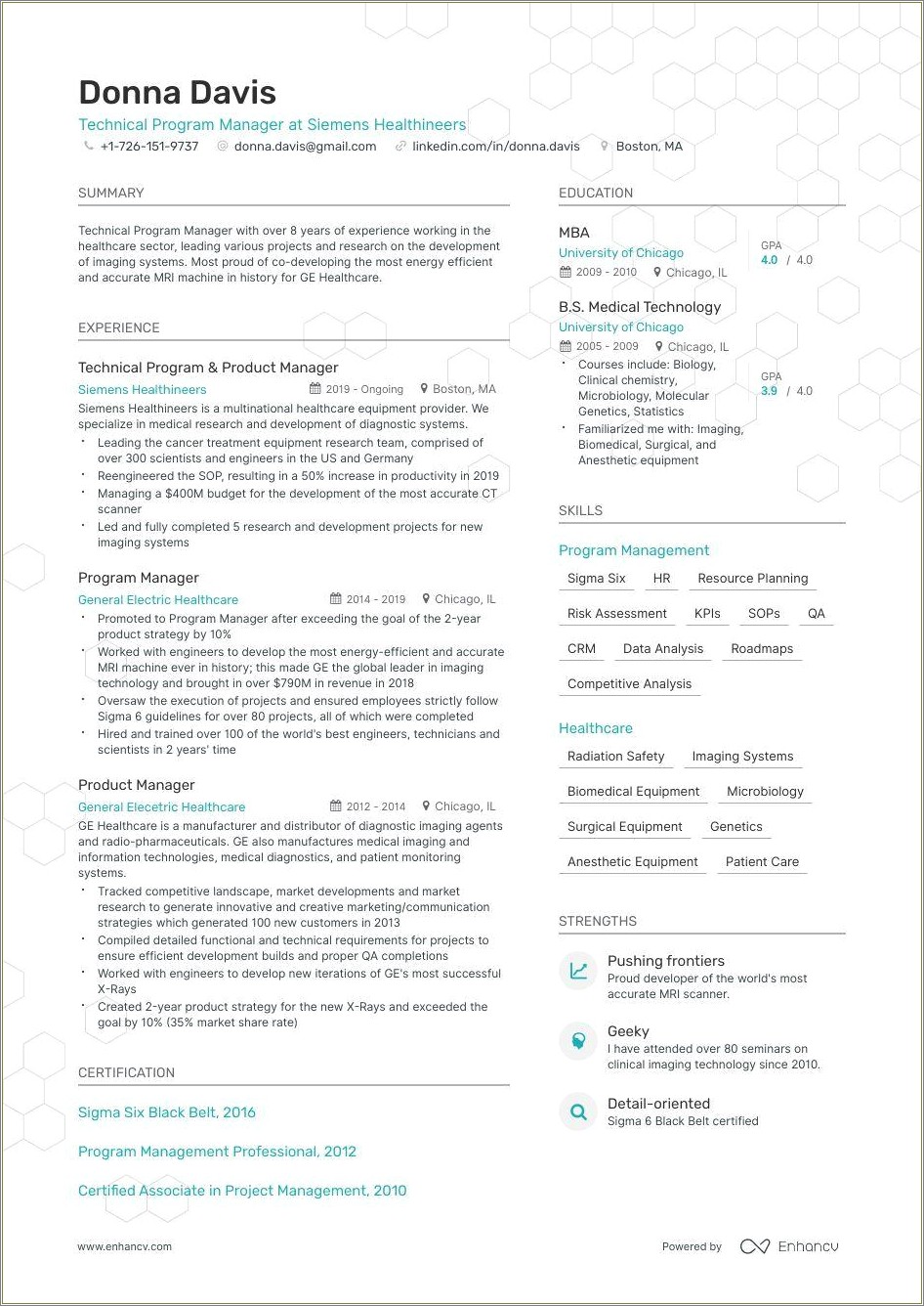 Real Working Program Manager Automotive Resume