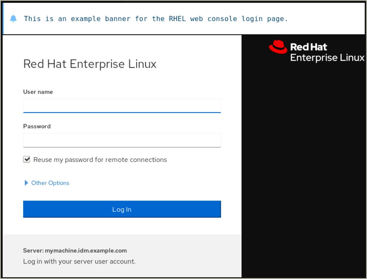 Red Hat Linux Syslogs Resume Sample