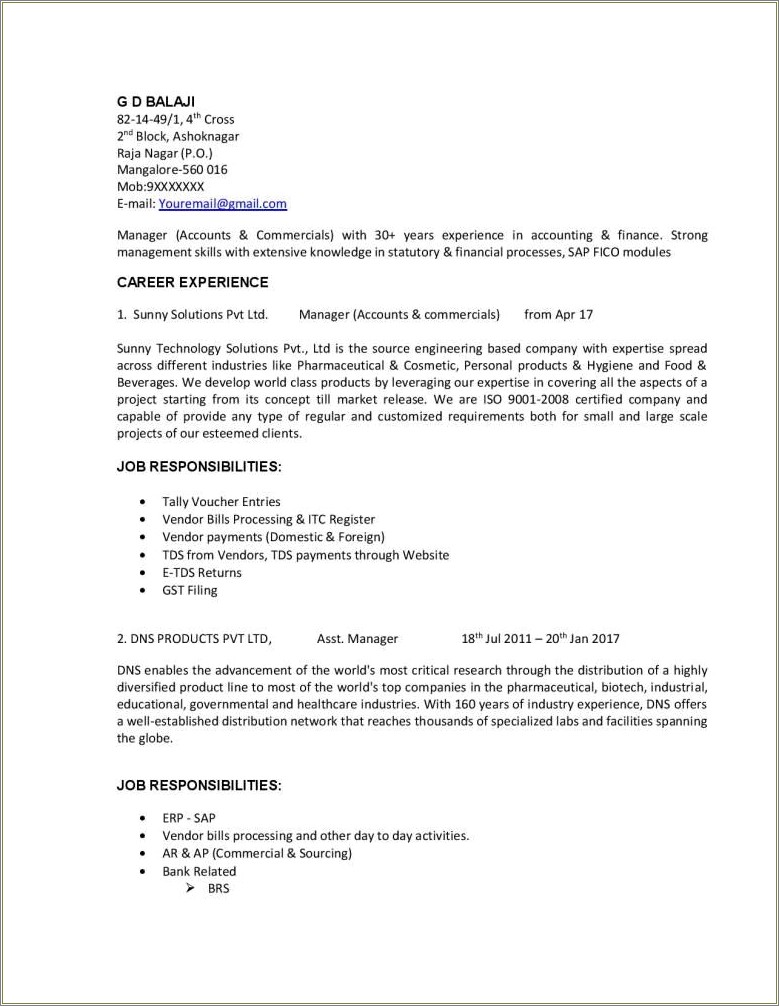 Resume After 1 Year Work Experience