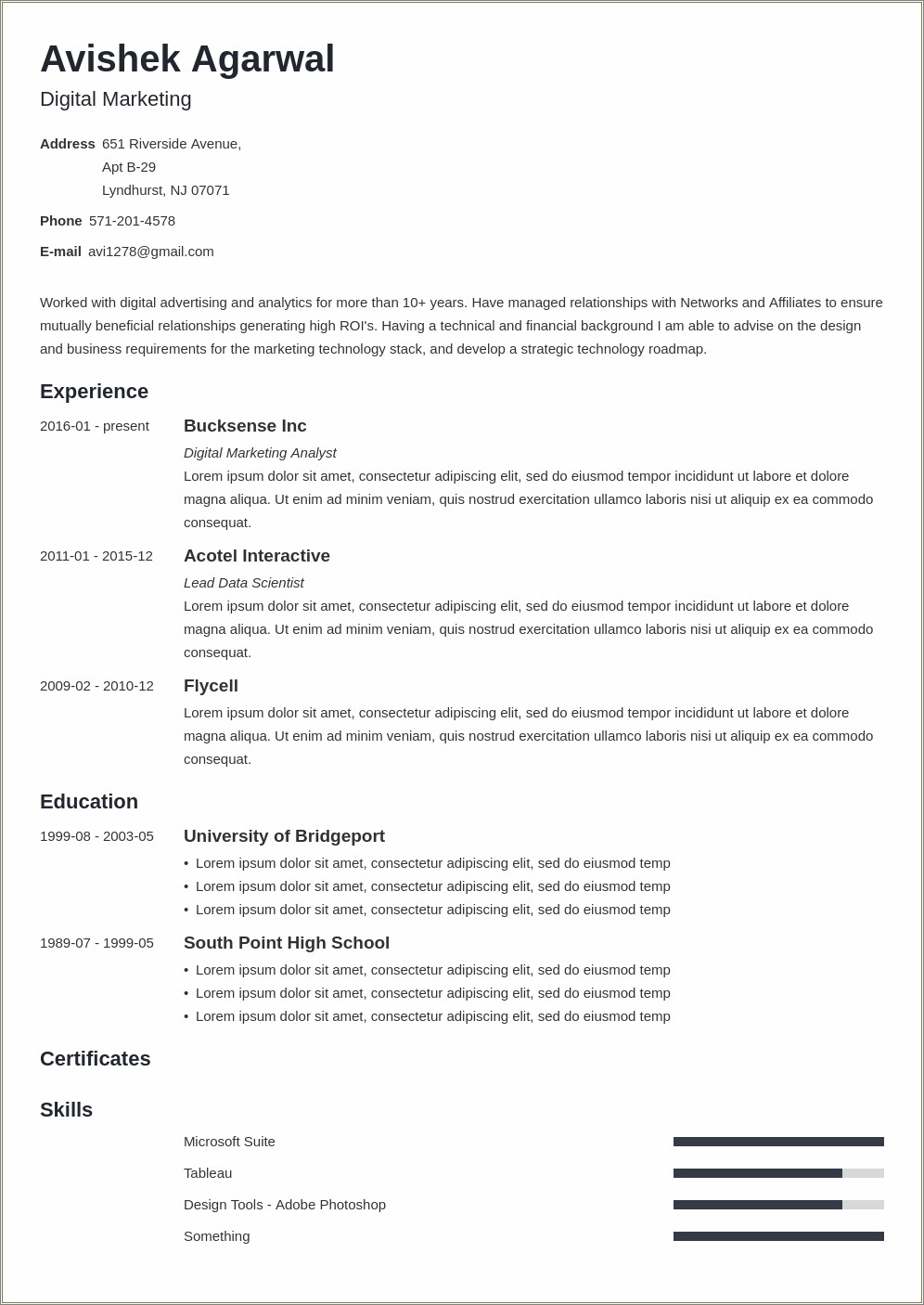 Resume Bio Example For Marketing Job