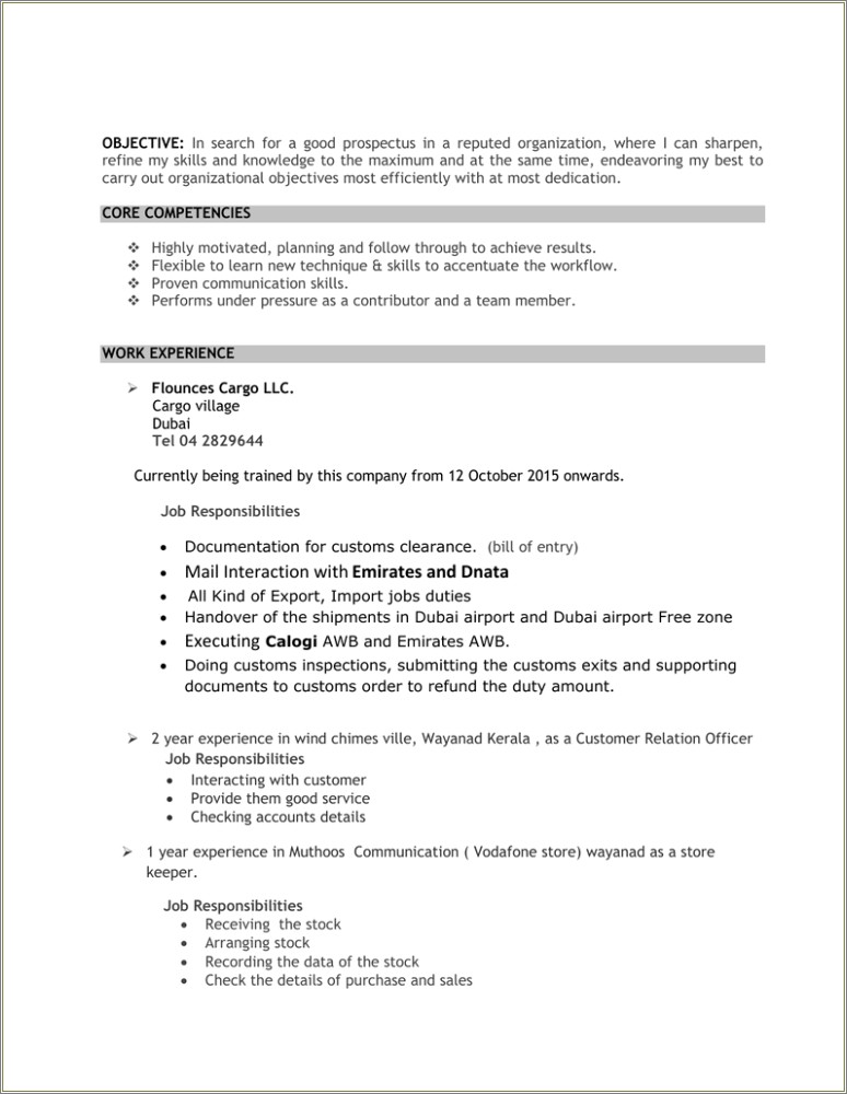 Resume Core Qualifications Examples Payment Receiving Experienced