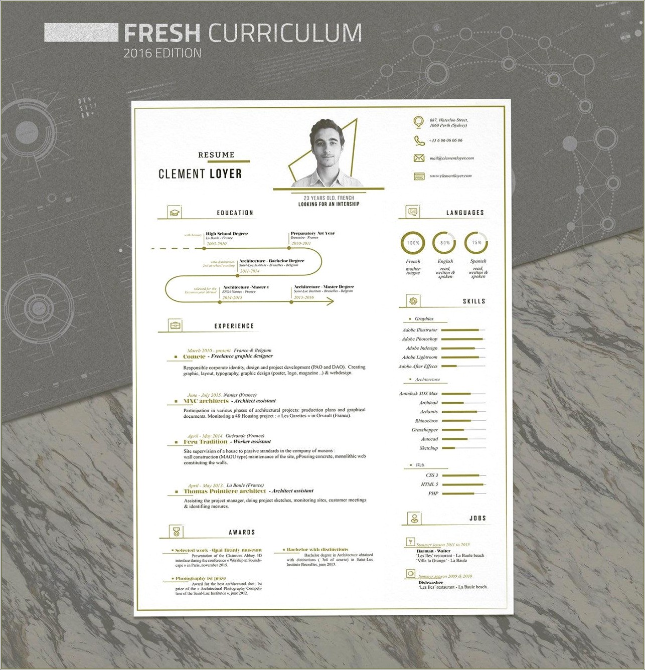 Resume Curriculum Vitae Cv After Effects Template Free