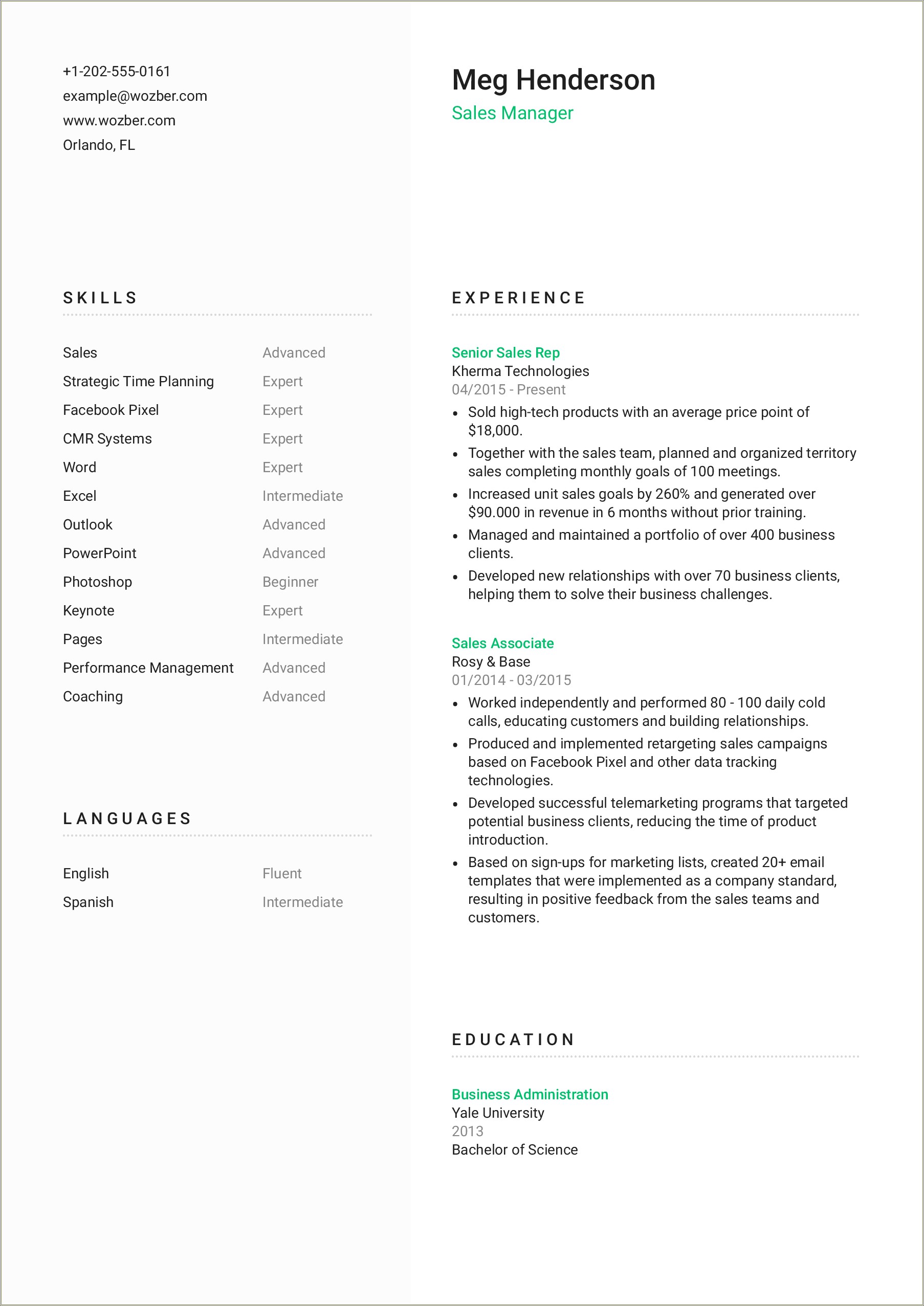 Resume Description For It Sales Manager