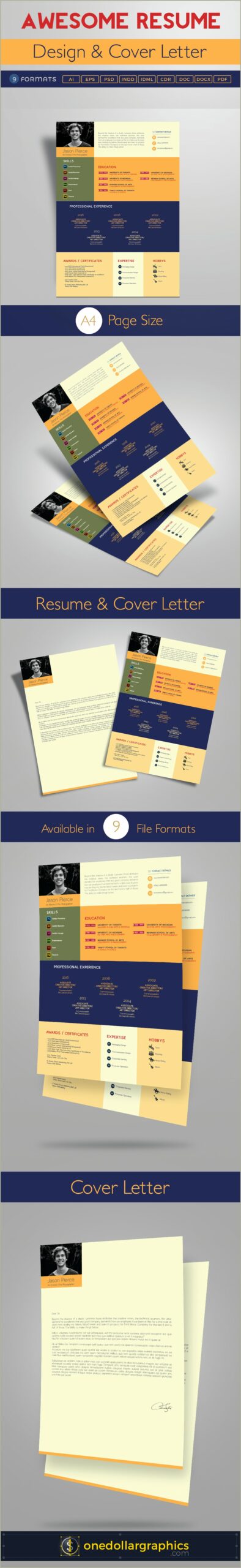 Resume Design That Intergrates With Microsoft Word