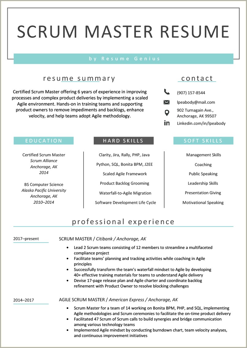 Resume Example For Business Analyst Agile Experience