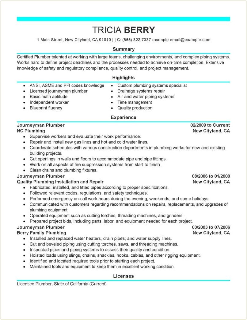 Resume Example For Master Plumber And Business Owner