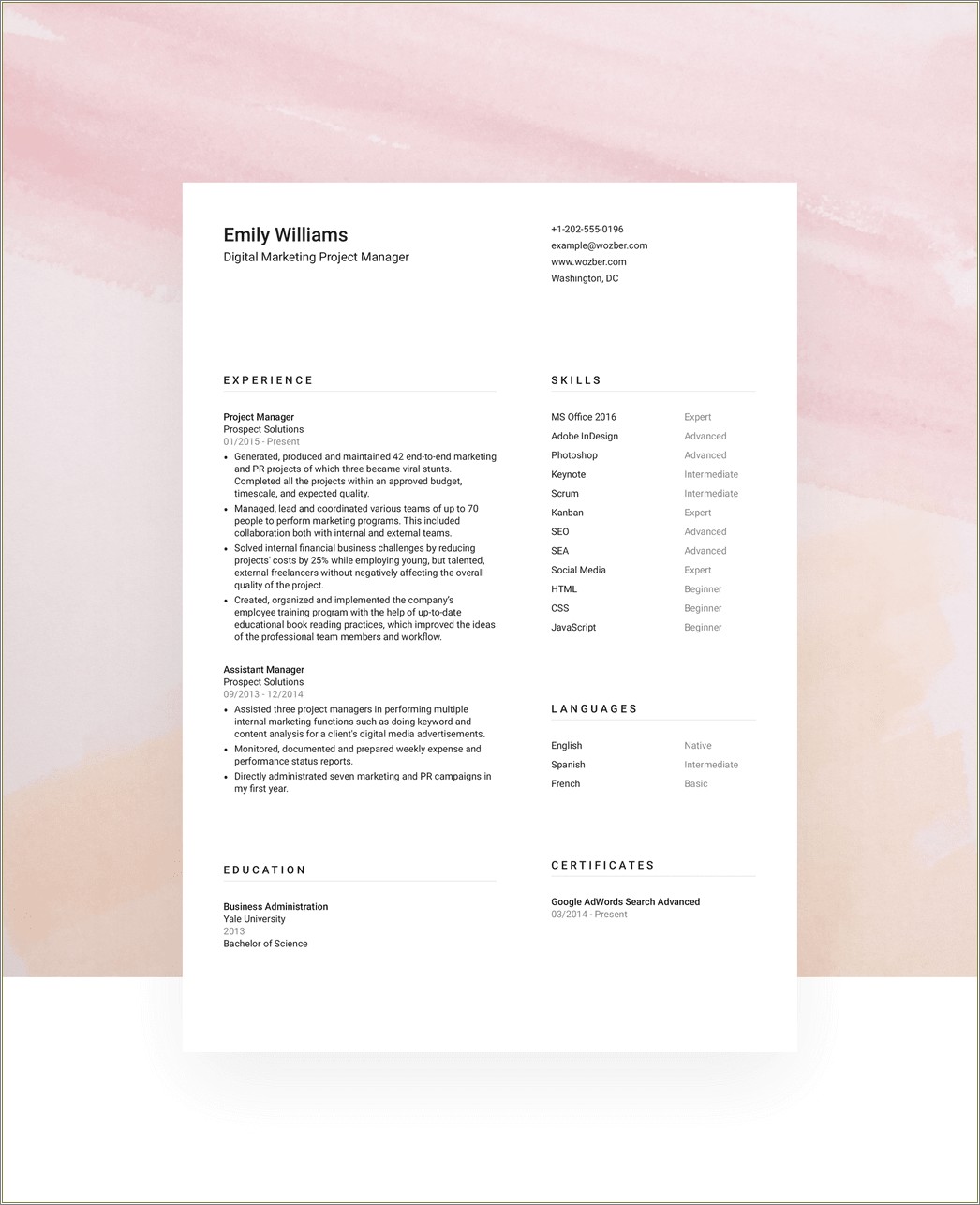 Resume Example For Sales Assistant For Magazine Company