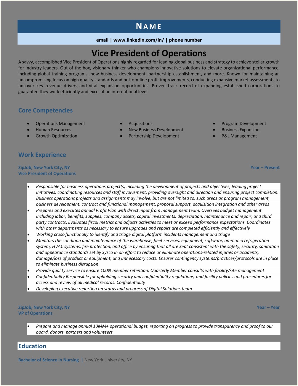 Resume Example For Vp Of Operations For Staffing