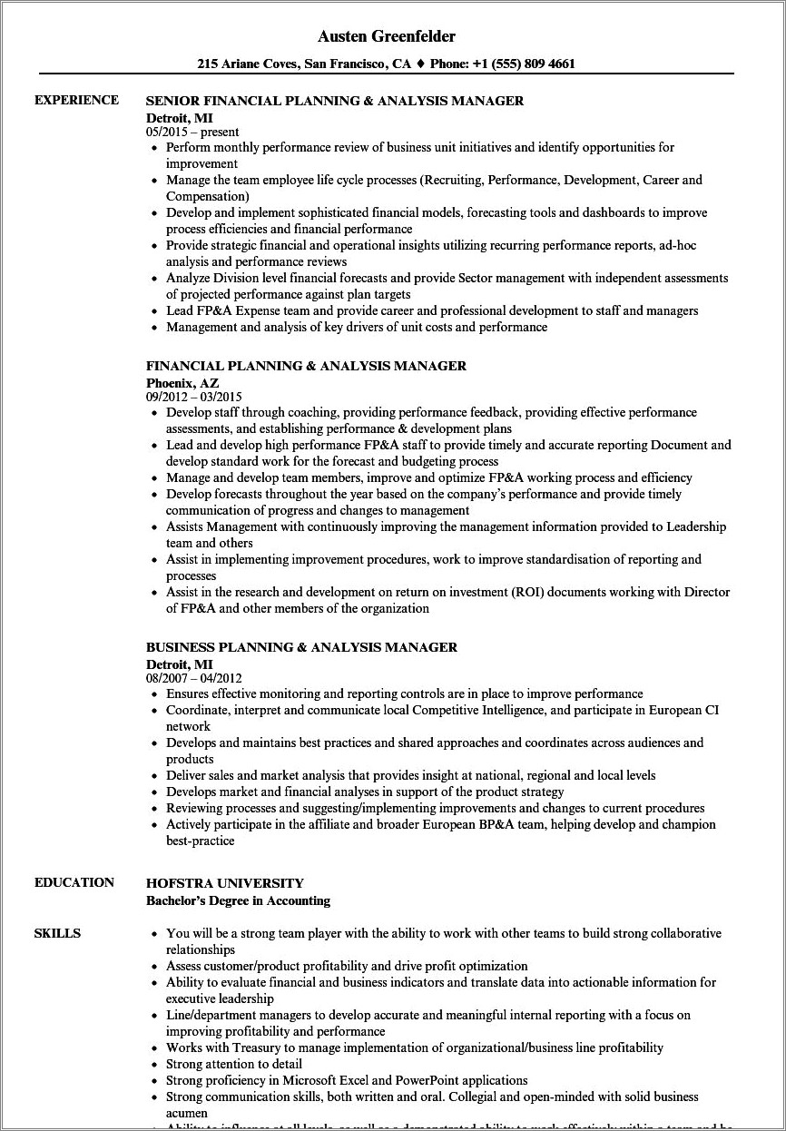 Resume Examples For Director Financial Planning And Analysis