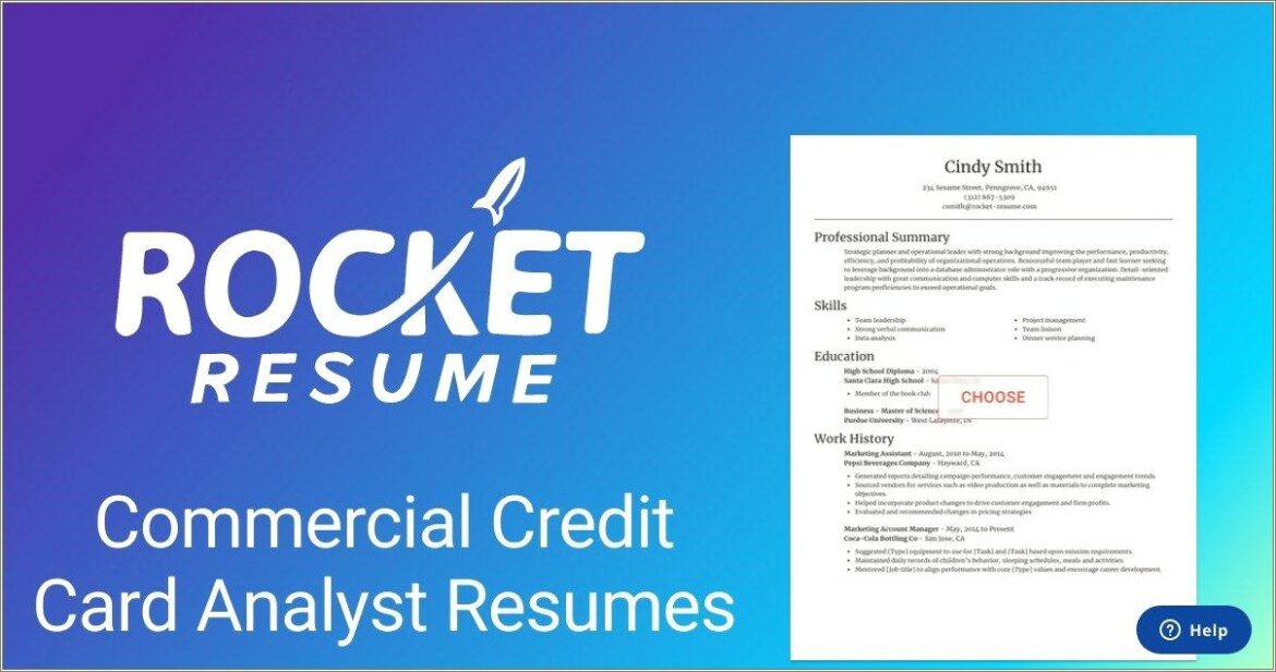 Resume Examples For Government Credit Card Analyst