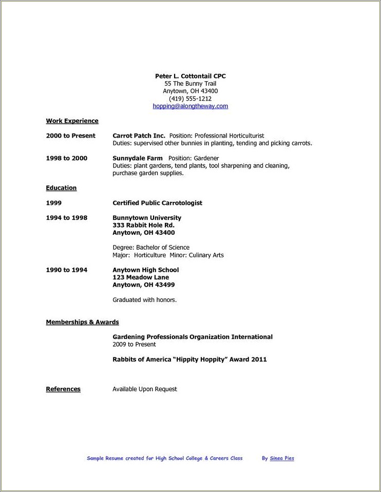 Resume Examples For Highschool Students Filetype Doc