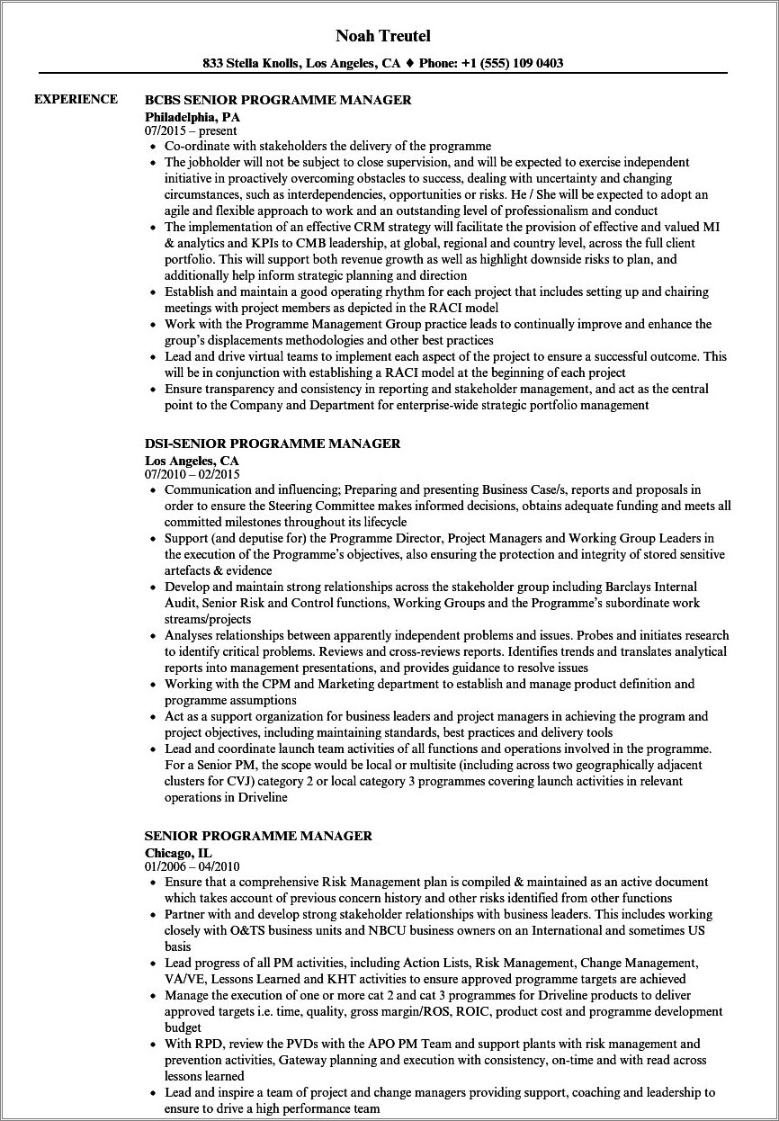 Resume Examples For Program Manager Downloadable