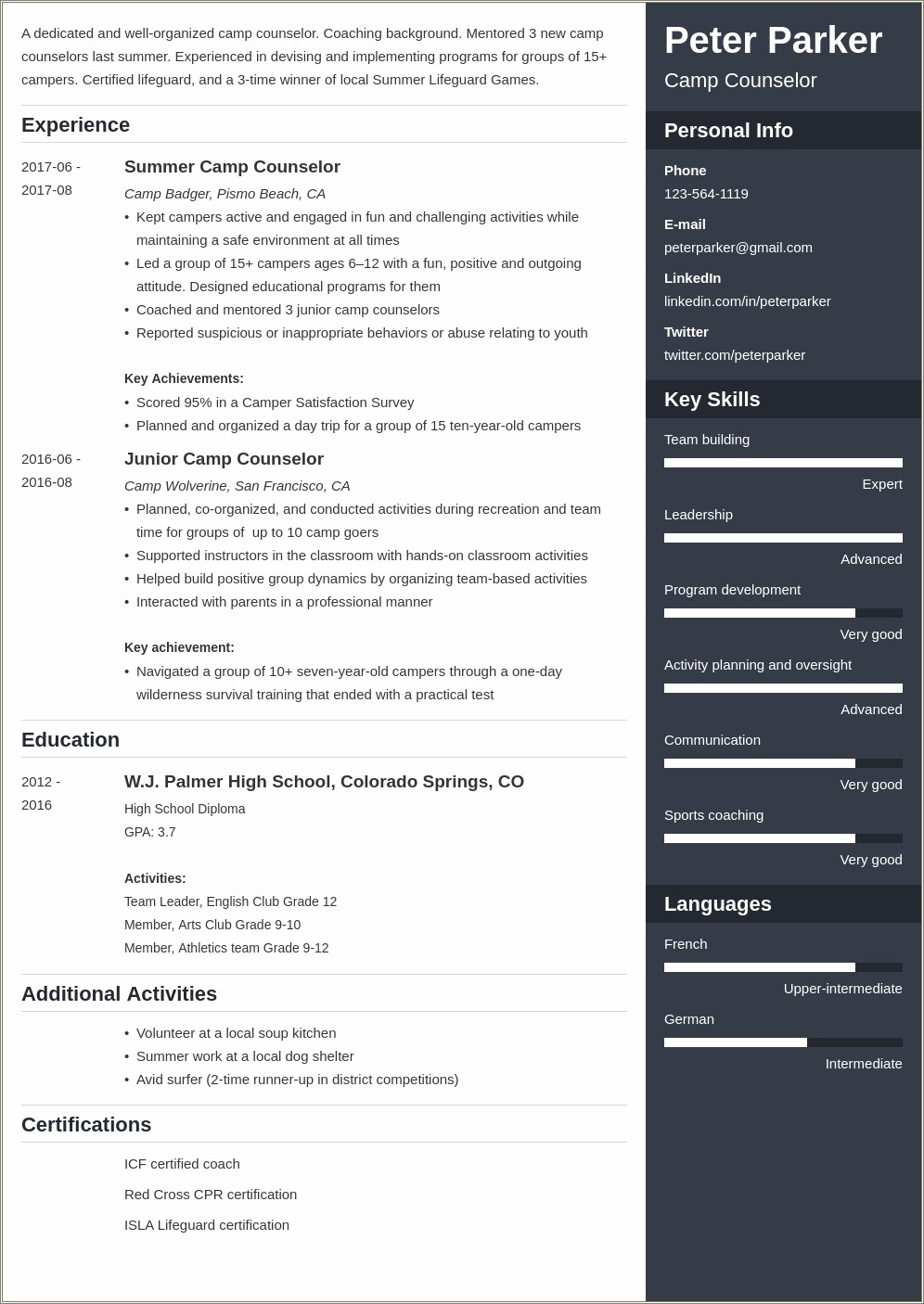 Resume Examples For Summer Camp Leader