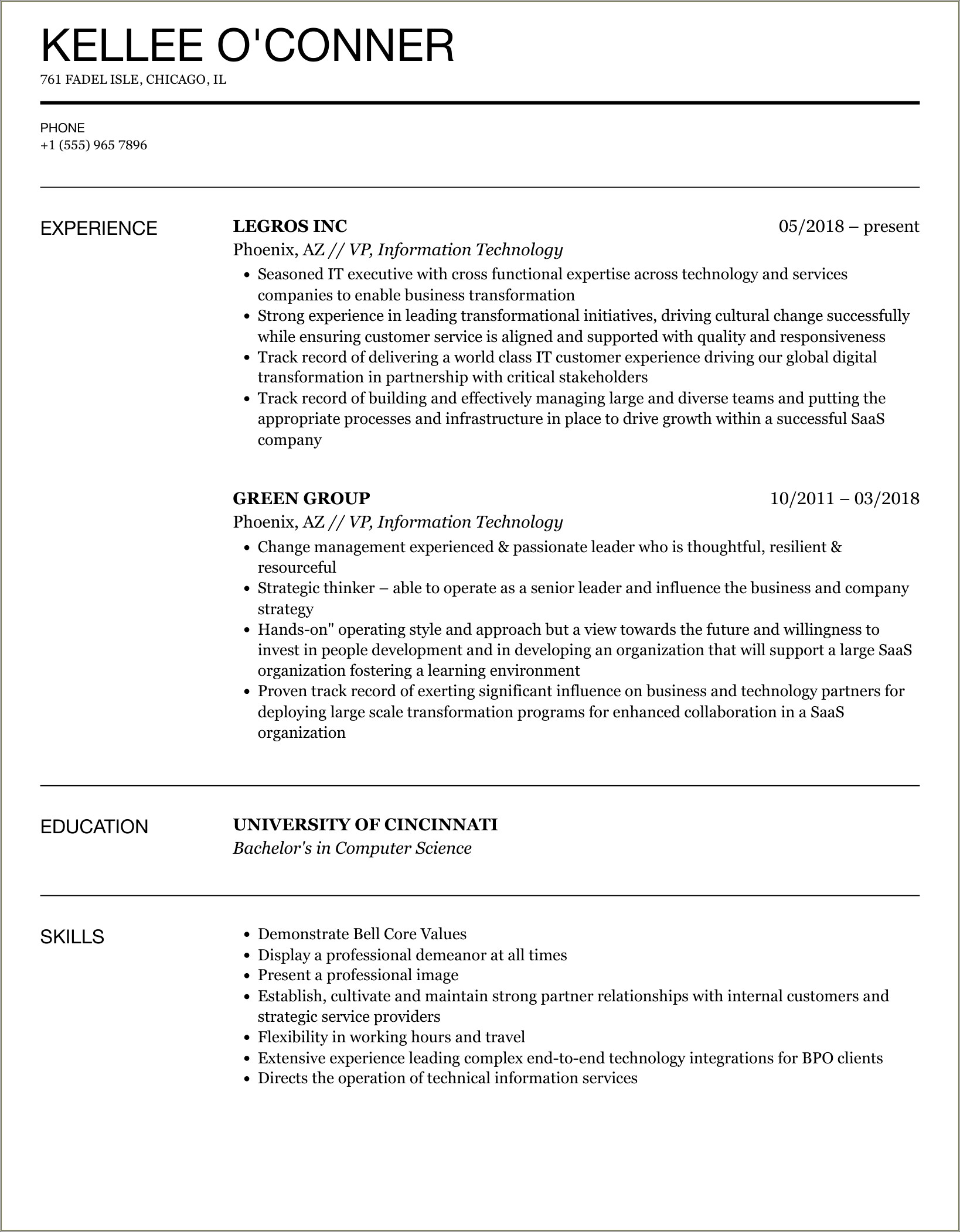 Resume Examples For Vp Informaion Technology Operations